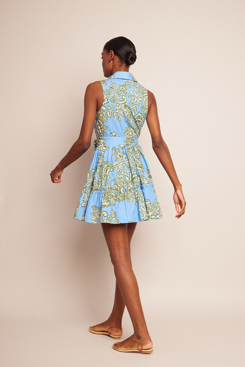 Cara Cara Hannah Mini Dress (More Colors)