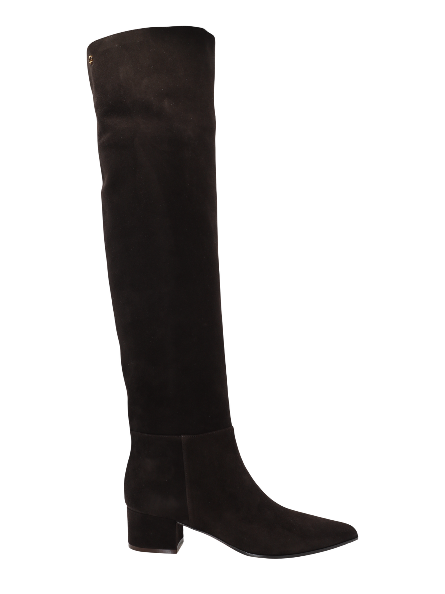 Gianvito Rossi Suede Boots in Moka