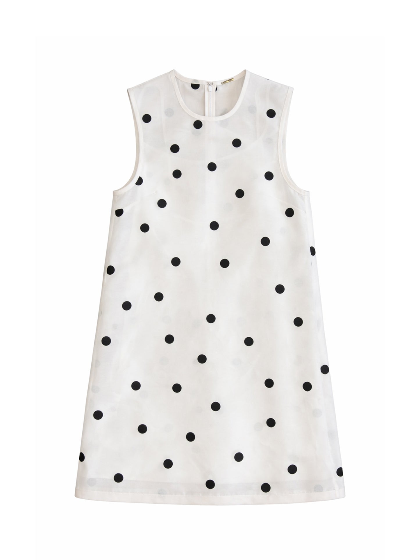 Alexis Zilez Dress in Ivory/Black