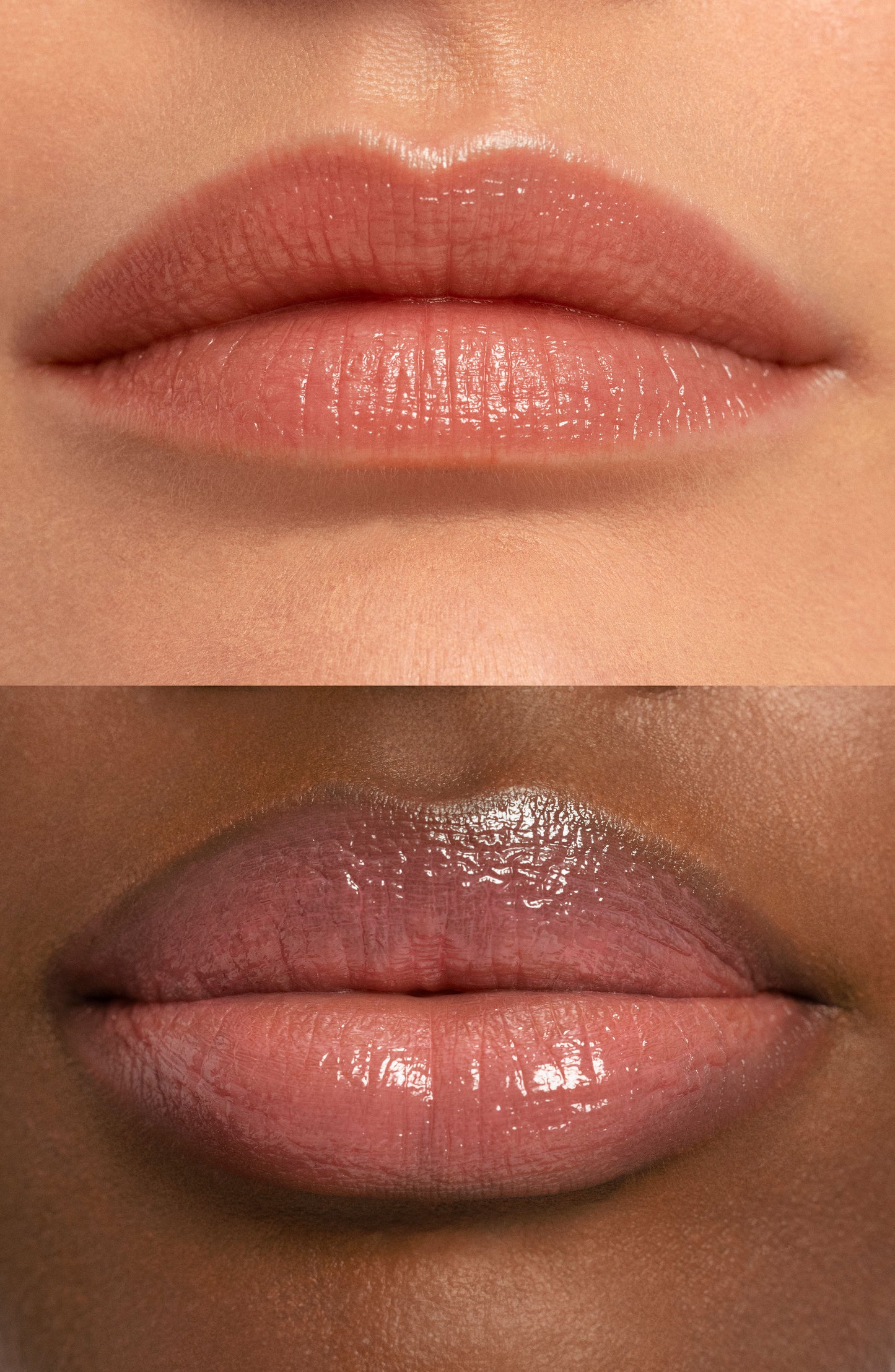 Chantecaille Les Papillons Lip Sheer in Swallowtail