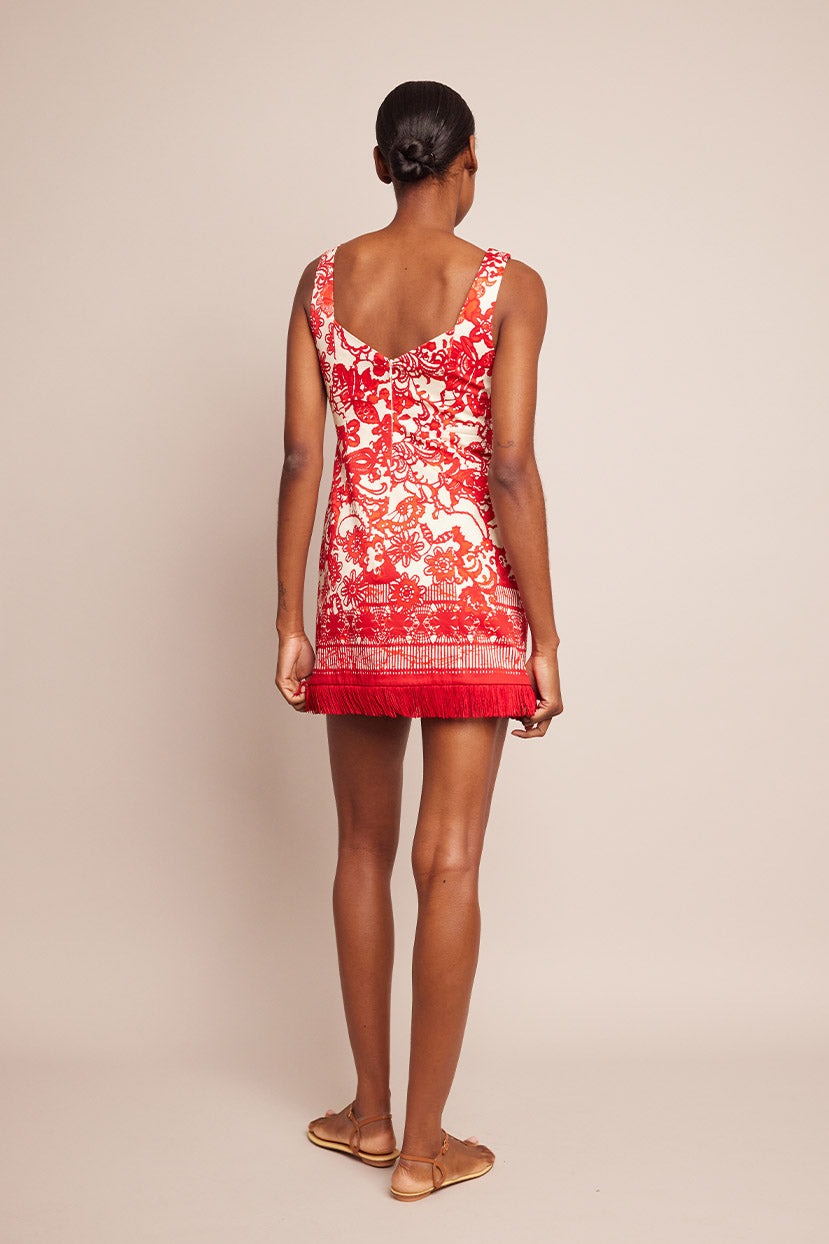 Cara Cara Anna Dress in Dentelle Coral