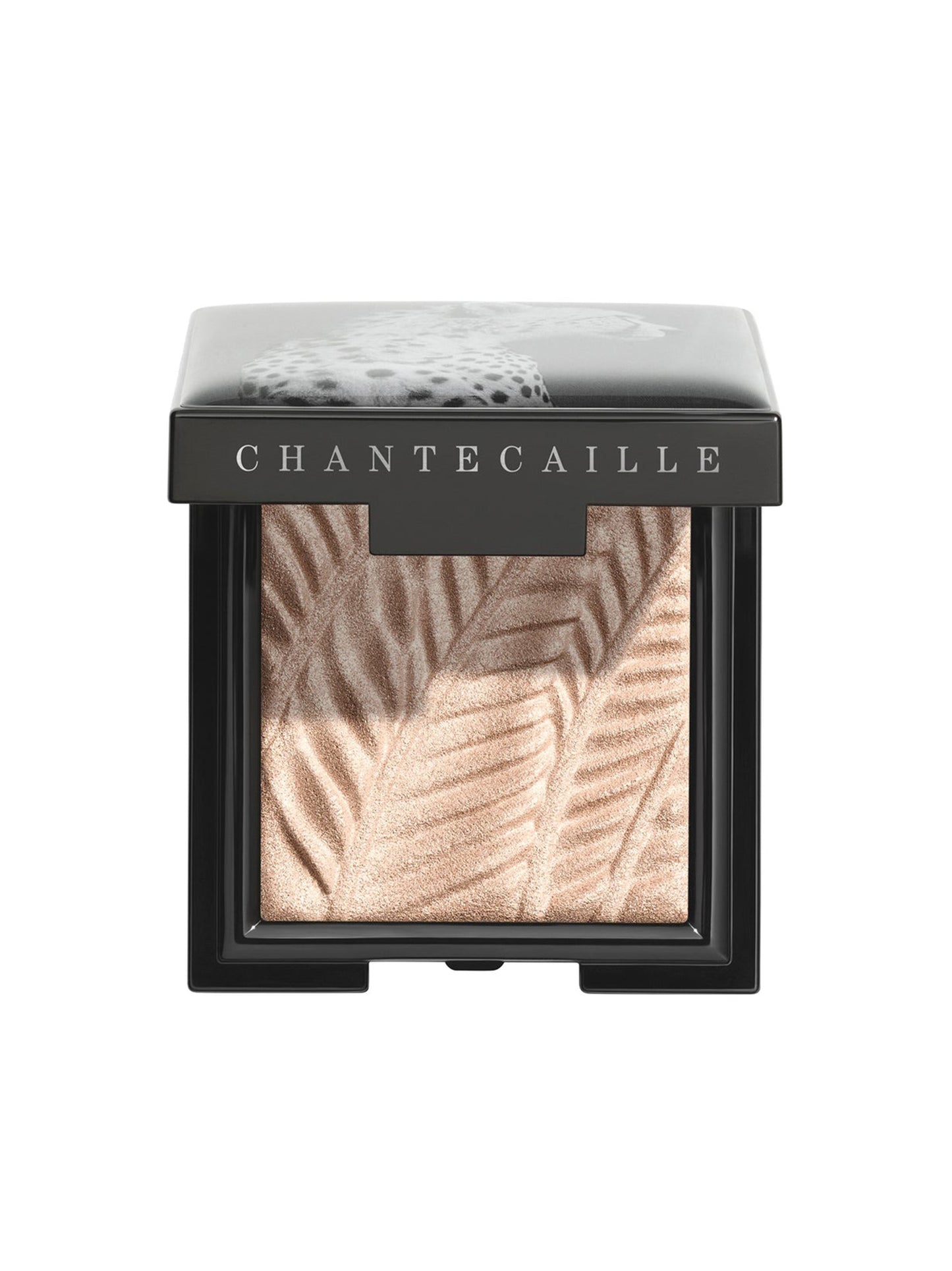 Chantecaille Luminescent Eye Shades (More Colors)