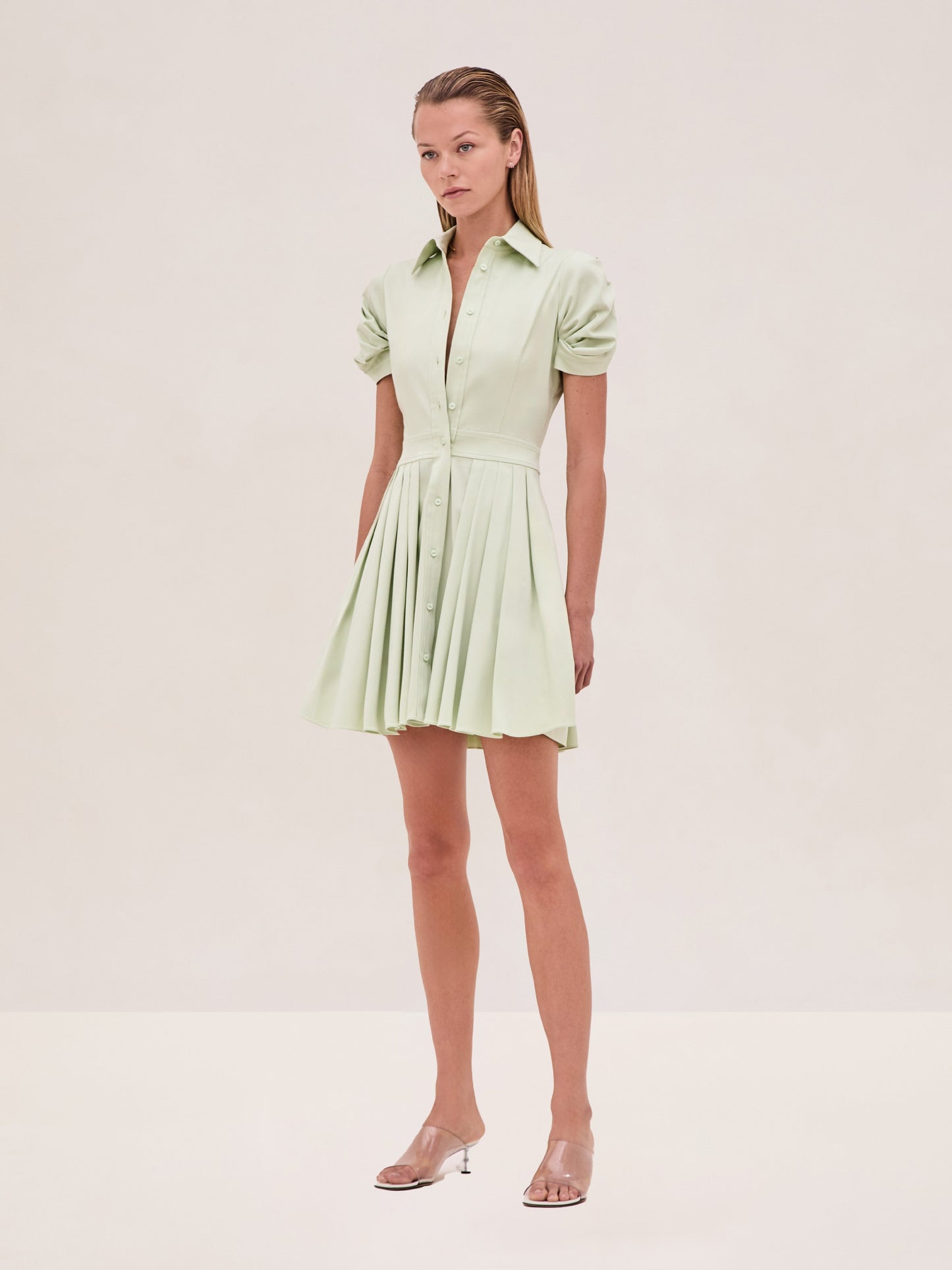 Alexis April Dress in Mint