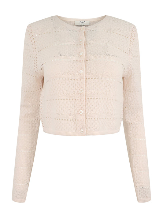 Sea Syble Pointelle Cropped Cardigan in Cream