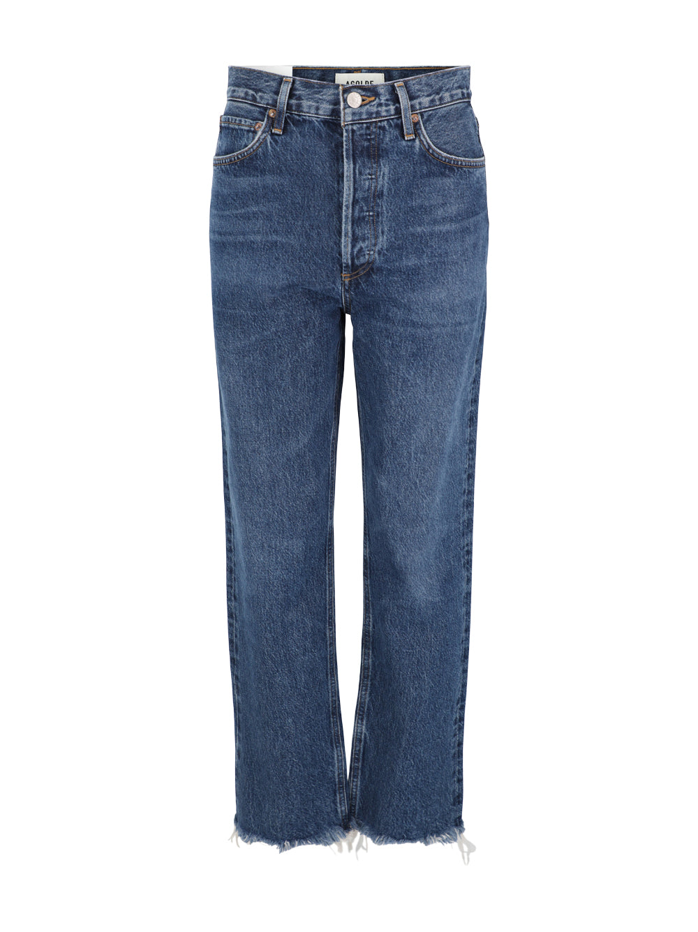 Agolde 90's Jeans in Fountain