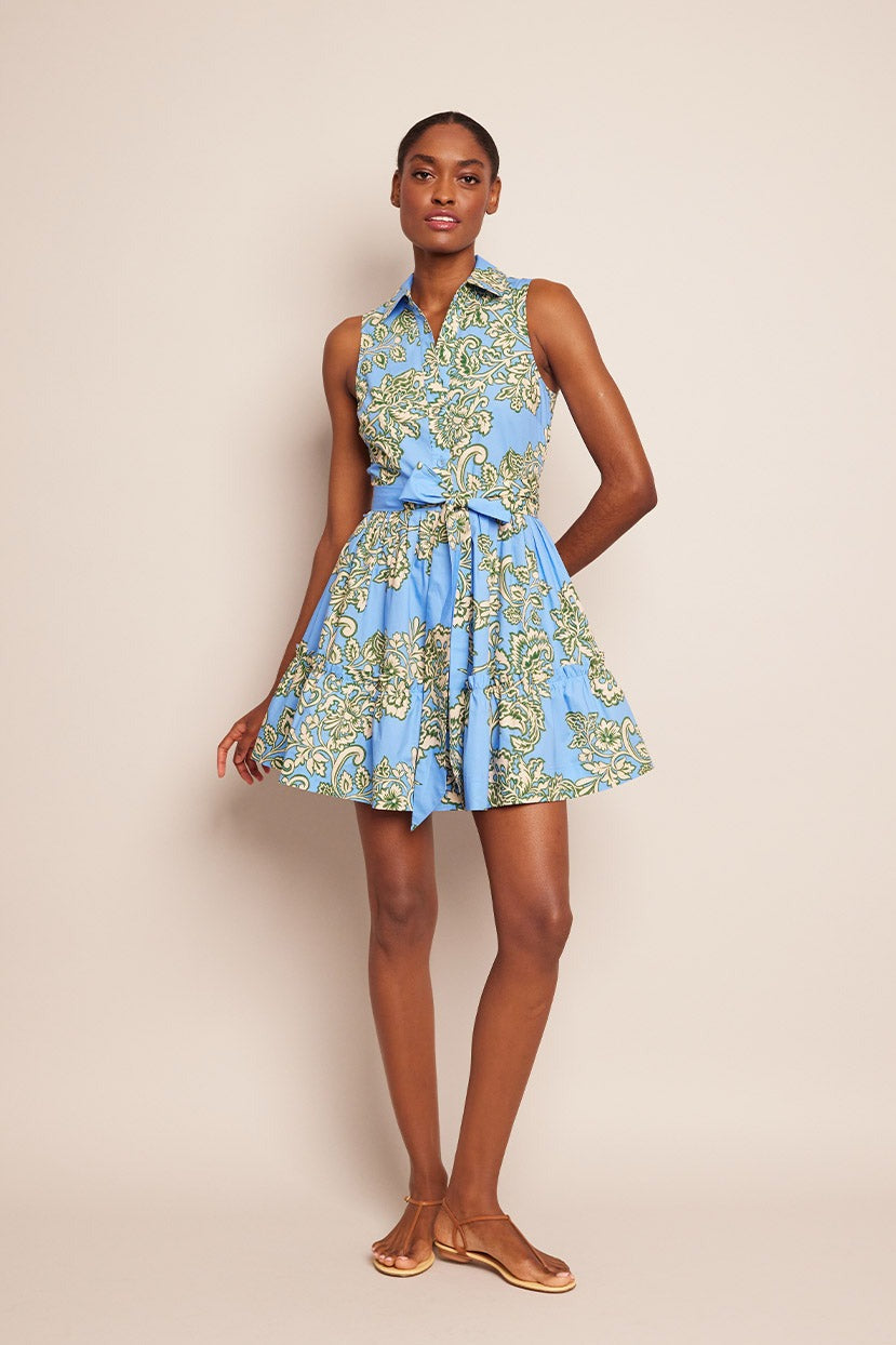 Cara Cara Hannah Mini Dress (More Colors)