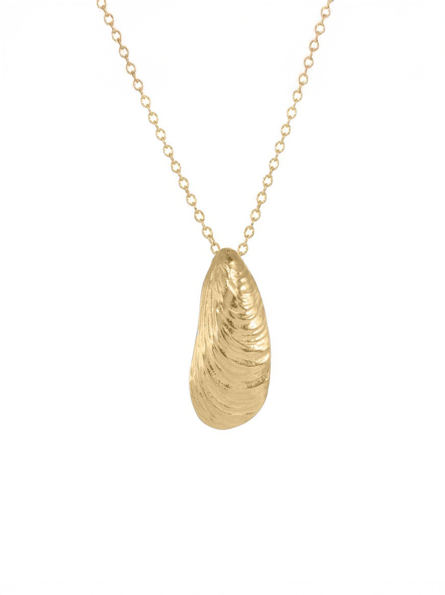 Catherine Weitzman Small Serenity Shell Necklace in Gold