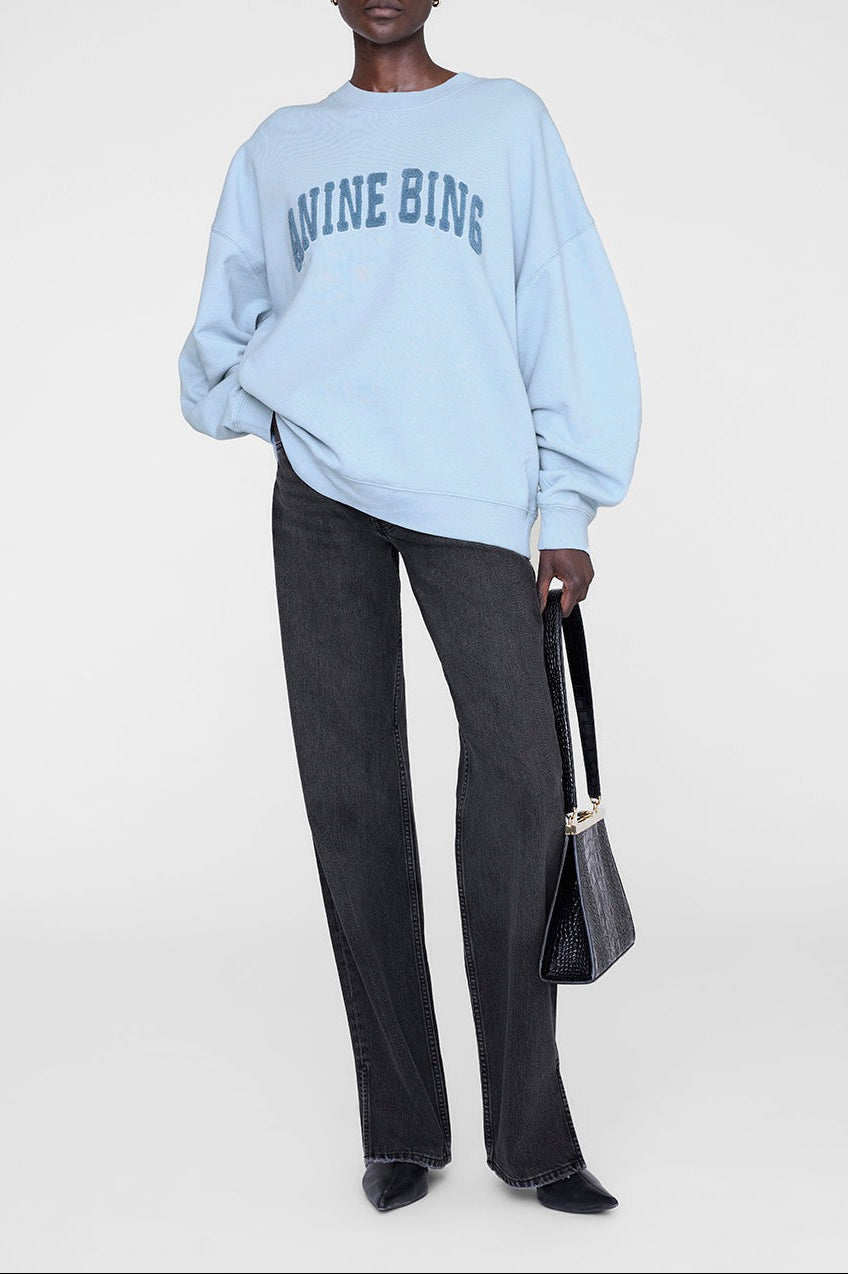 Anine Bing Miles Sweatshirt in Pale Light Blue