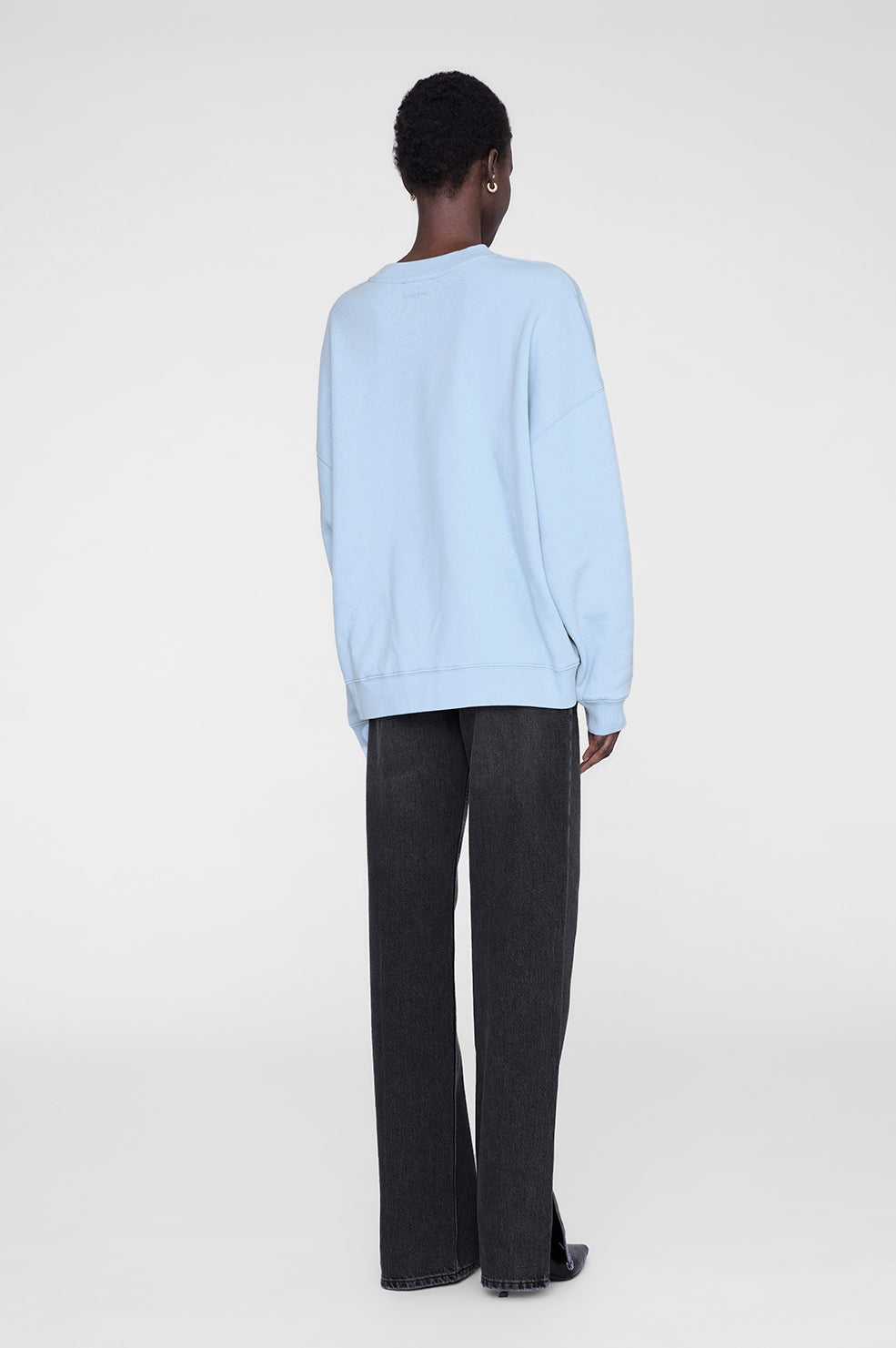 Anine Bing Miles Sweatshirt in Pale Light Blue