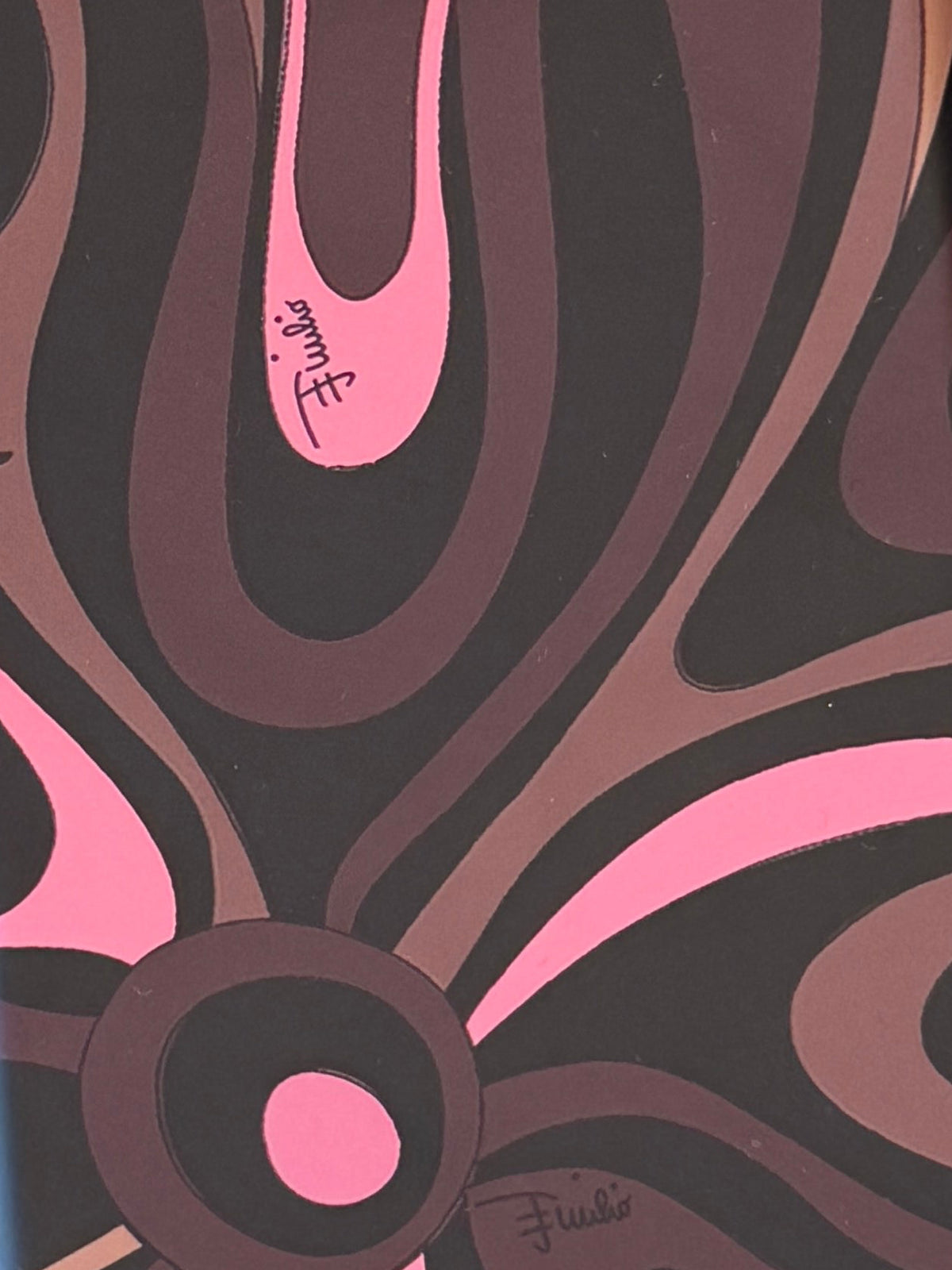 Pucci iPhone Case 17 Pro Max in Marmo Print (More Colors)