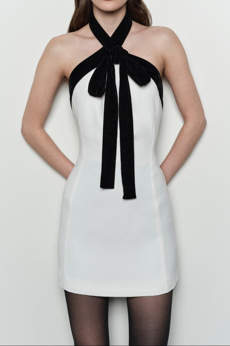 Simkhai Jolie Velvet Tie Mini Dress in Ivory Multi