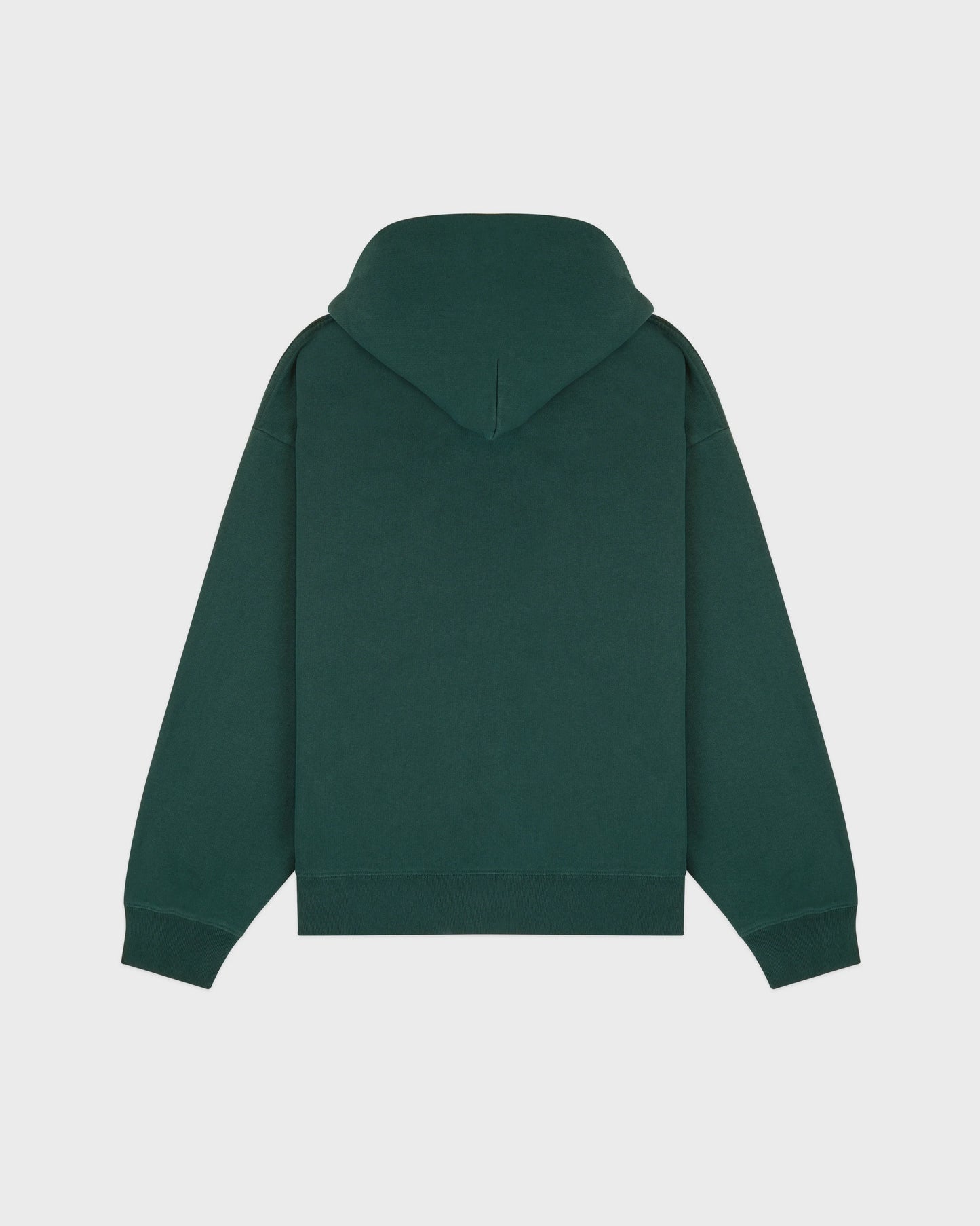 Sporty & Rich NY Crest Embroidered Hoodie in Forest