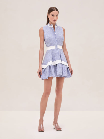 Alexis Natacha Dress in Blue Stripes