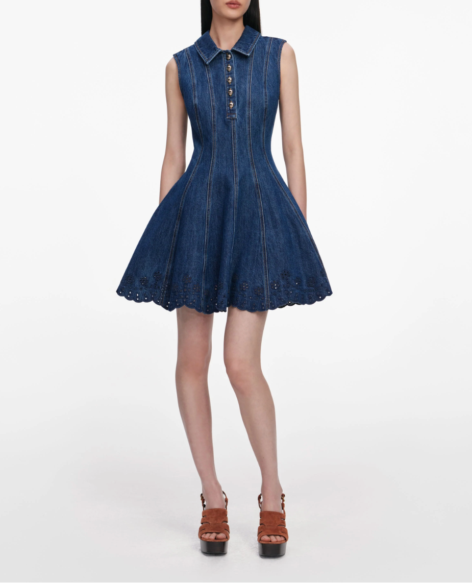 Self-Portrait Denim Broderie Mini Dress in Blue