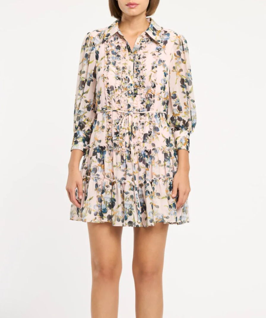 Cinq à Sept Trailing Iris Rhys Dress in Rosy Cloud Multi