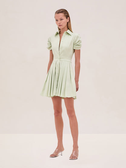 Alexis April Dress in Mint