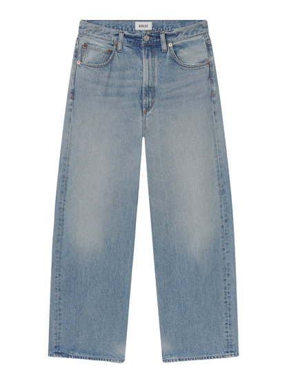 Agolde Low Curve Jeans in Reset