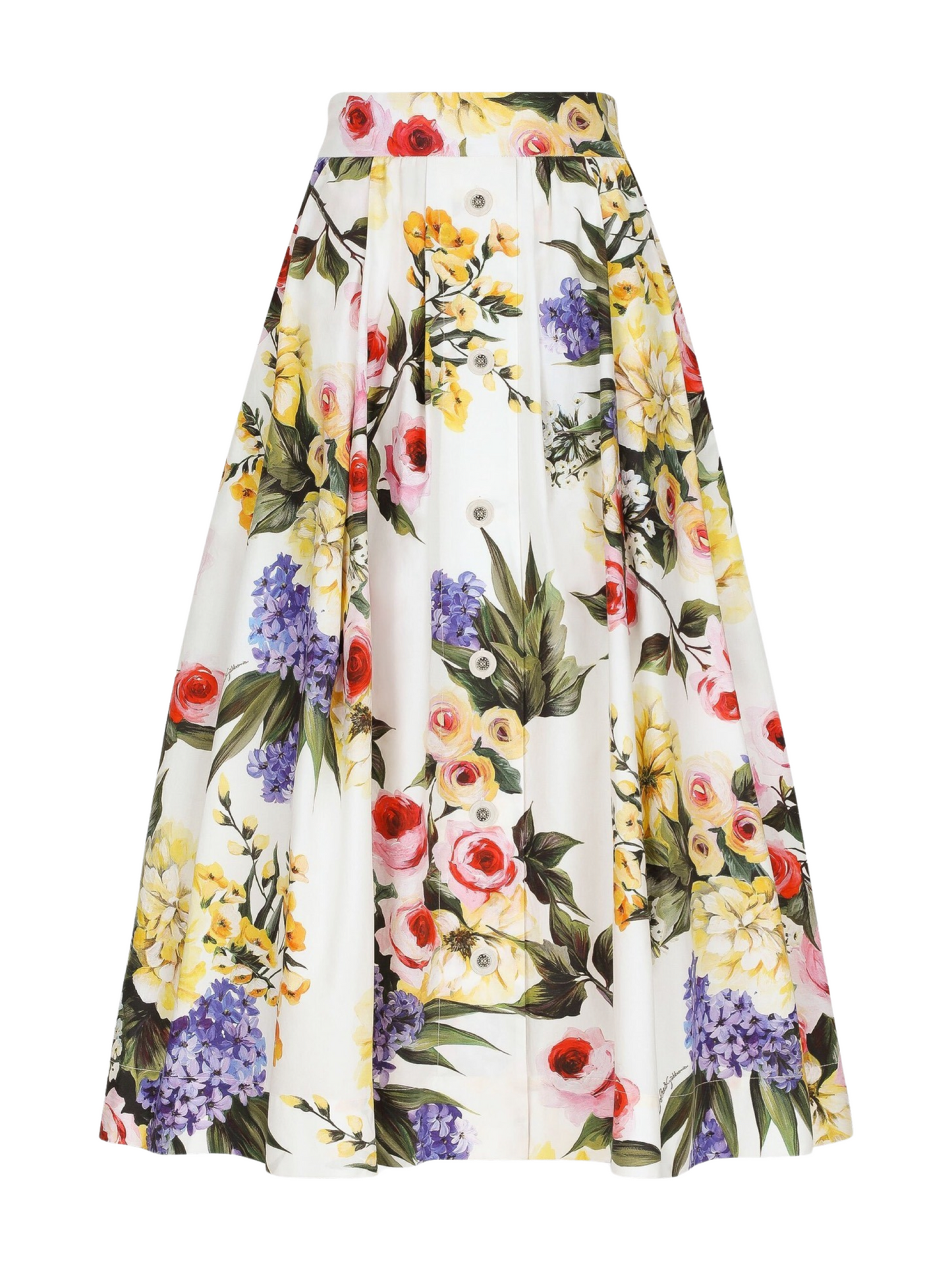 Dolce & Gabbana Garden Printed Garden Circle Skirt