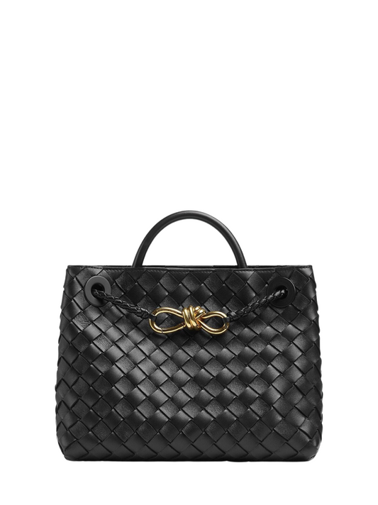 Bottega Veneta Small Andiamo in Black